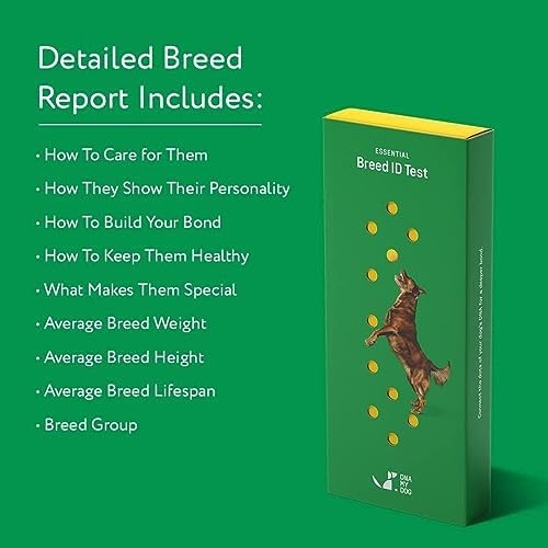Dog DNA Breed Identification Test Kit
