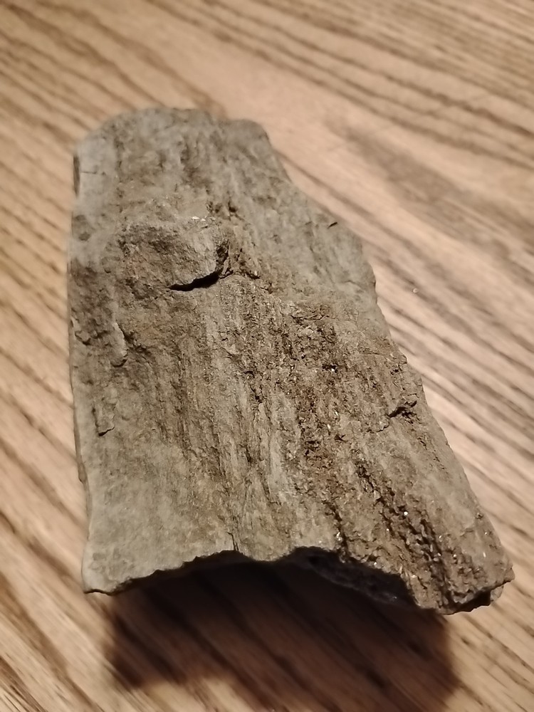Petrified Wood 738g (Outer Bark)