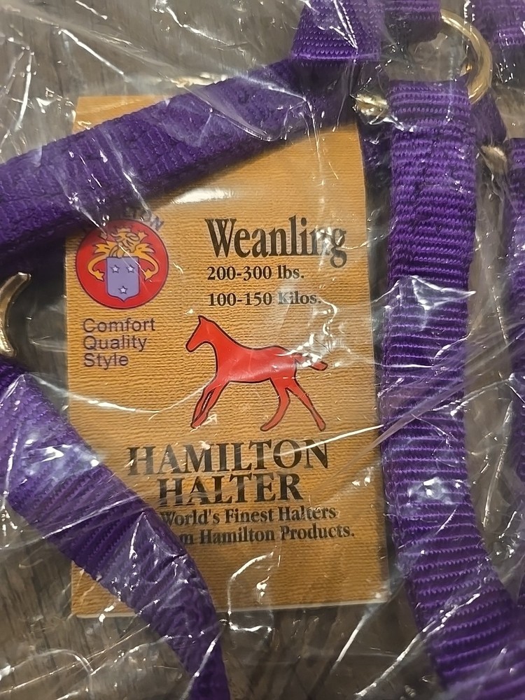 Hamilton Foal Halter