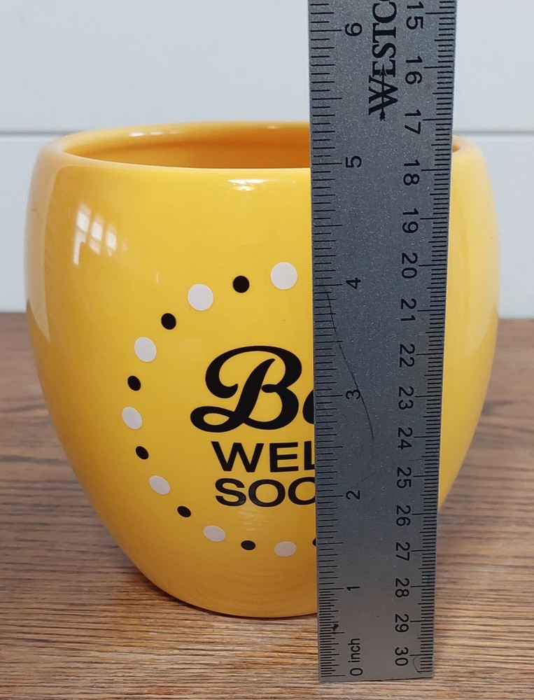 Teleflora 5 inch "Bee Well Soon" Yellow Planter