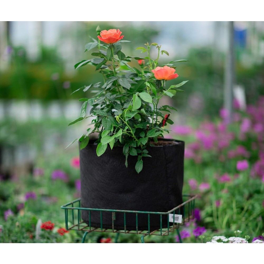 NEW,1-Gallon Smart Pot Soft-Sided Container, Black