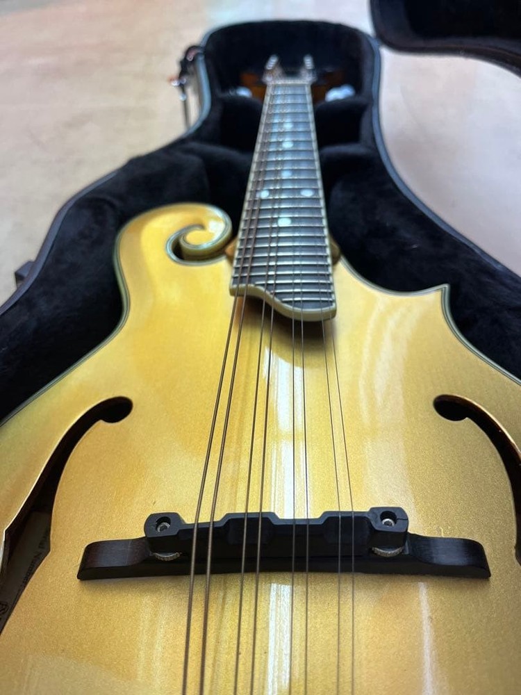 Earlham Gold Mandolin 8 string