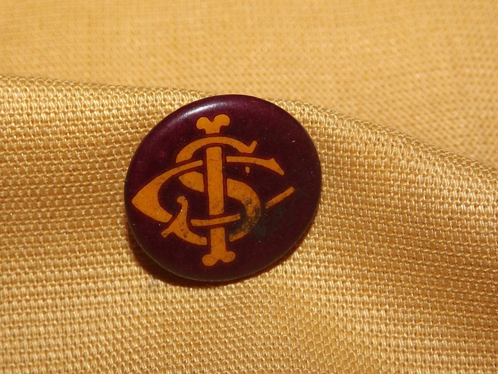VINTAGE WHITEHEAD & HOAG CO ICS CSI SCI PIN BUTTON