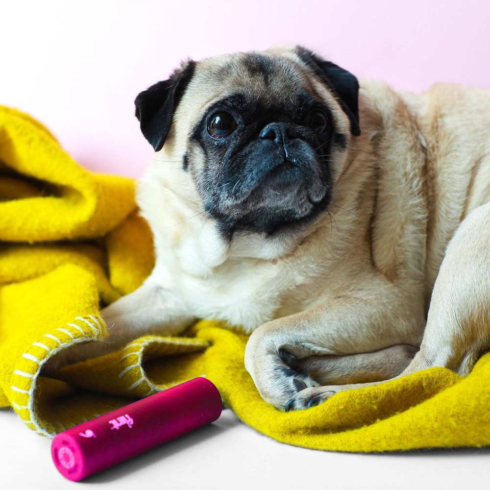 Flint Classic Pink Retractable Mini Lint Roller with 90 Extra 90 Sheets,