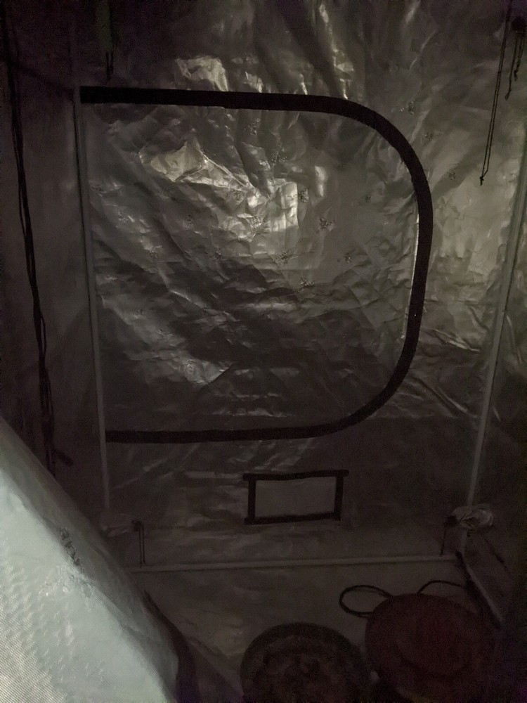 Hydropolis tent 4x4