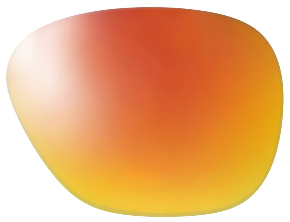 Smith Lowdown Slim 2 Polarized Sunglass Replacement Lenses by Reptile 45 Options