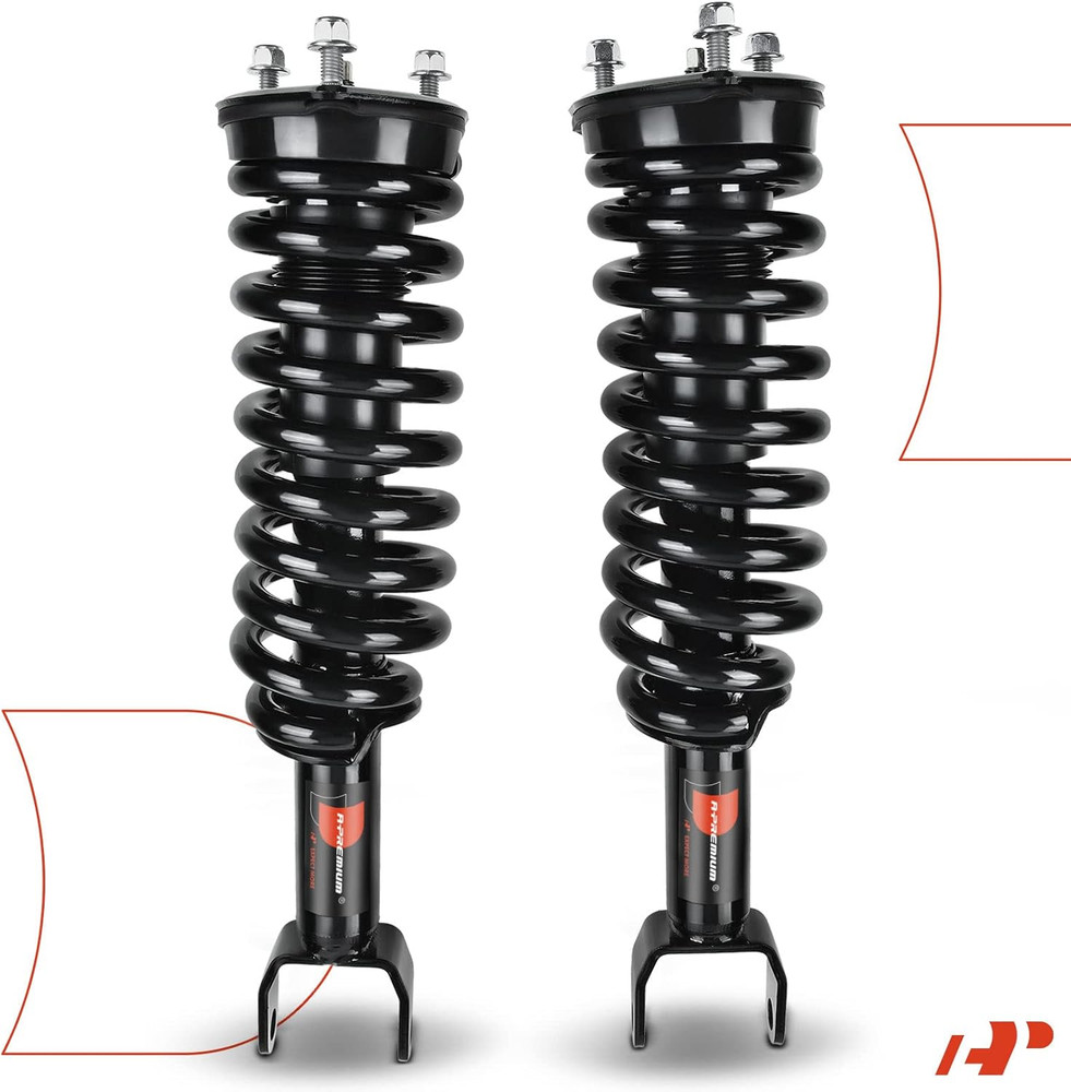 Front Pair (2) Complete Strut & Coil Spring Assembly Compatible with Dodge Dakot