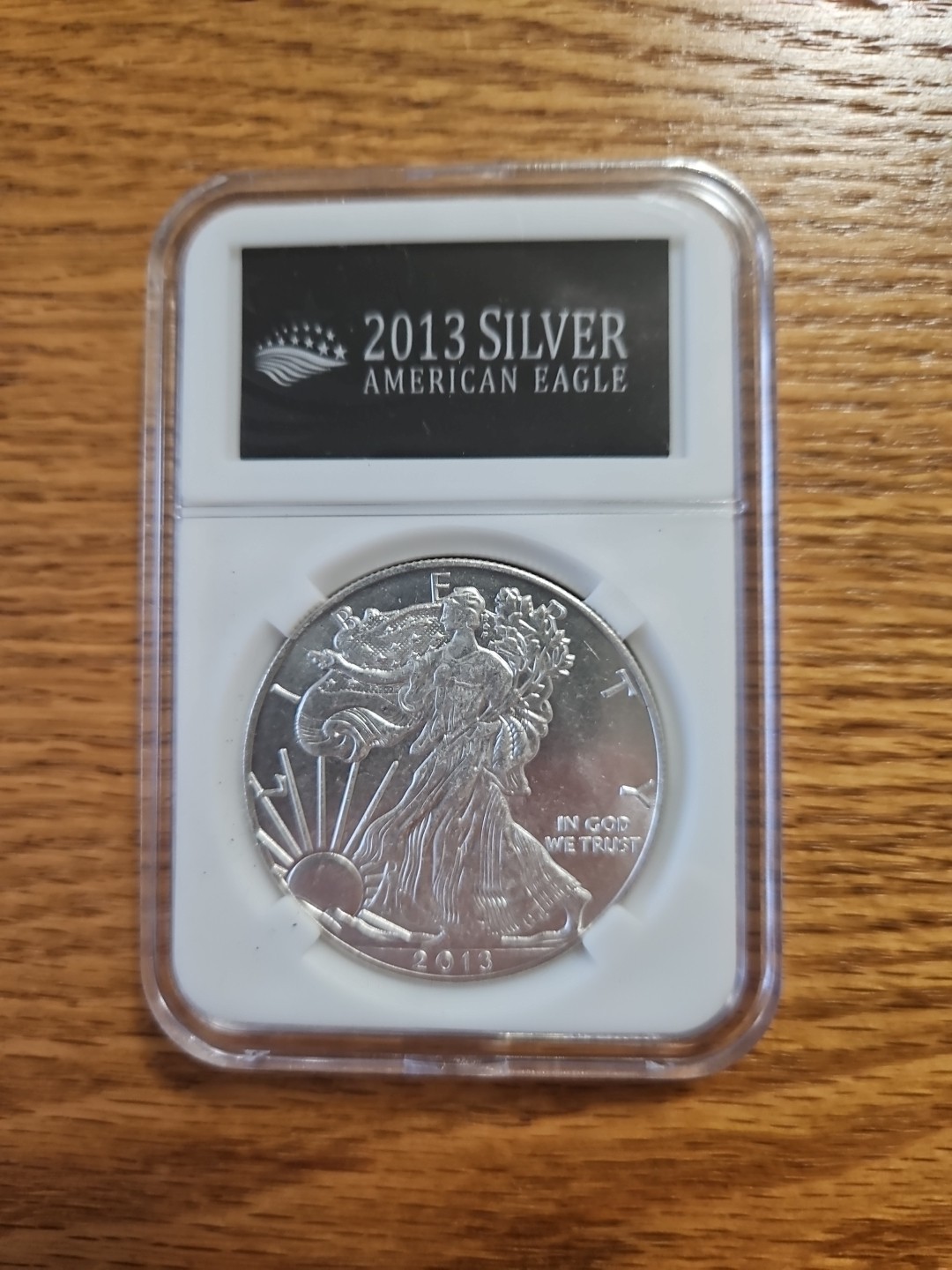 2013 SI*LV*ER AMERICAN EAGLES 1 OZ BULLION COIN