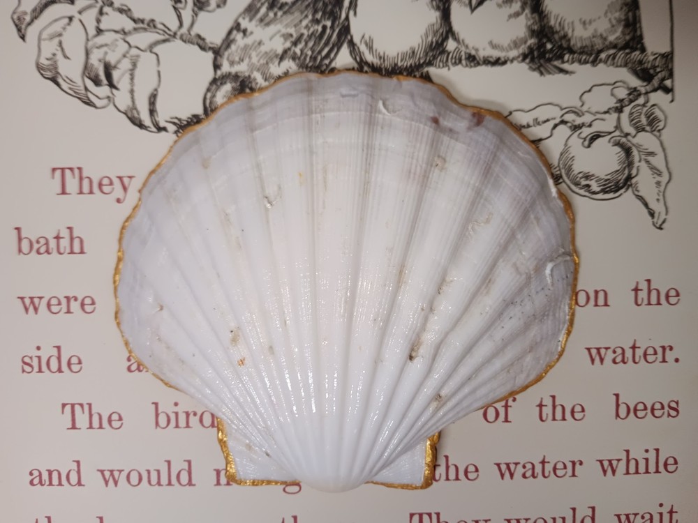 Handmade Shell Trinket Dish With Cardinal And Flowers