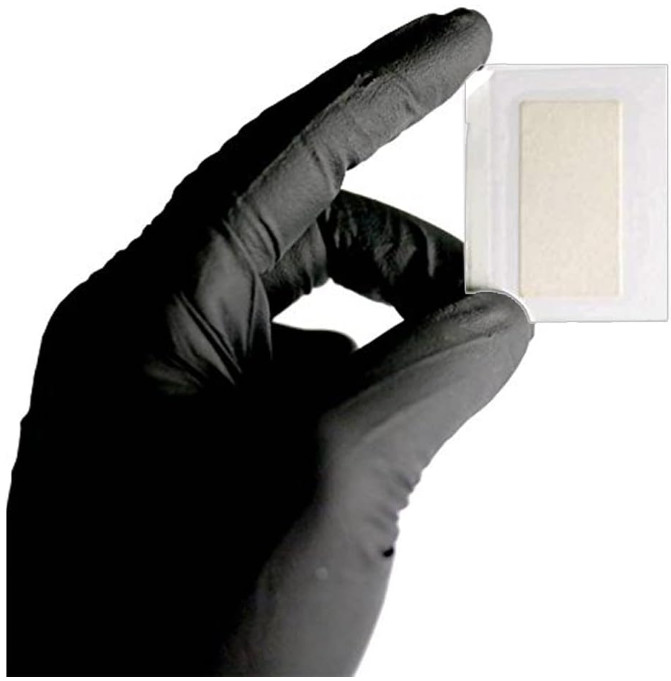 Semen Detection Test Strips, Infidelity Test Kit (5 Pack)