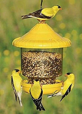 Clingers Only Bird Feeder