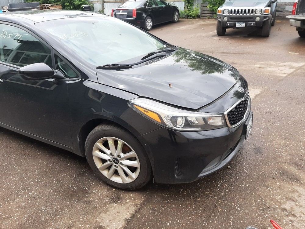 FORTE 2017 High Mounted Stop Light 1001617