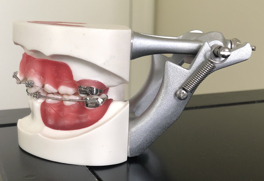 Nissin Ortho Typodont Dental Model
