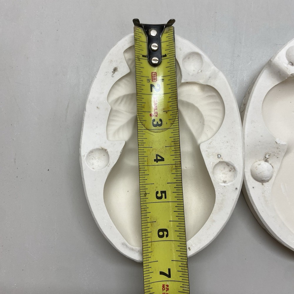 Ceramic Slip Casting Mold Avocado Fruit Face Plaque
