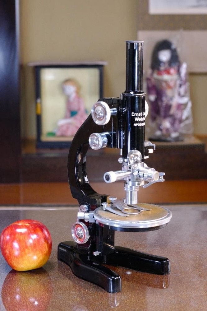 Antique Ernst Leitz MOP Polarizing Microscope 1936 Black w/ Berek+Obj Set
