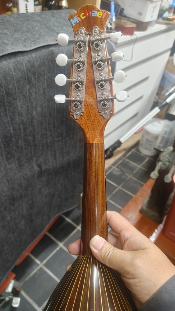 Mandolin ikegaku stringed instrument with case