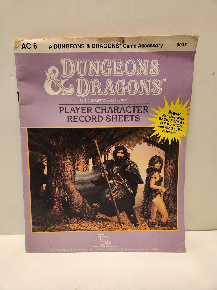 Dungeons & Dragons Player Character Record Sheets AC6 Plus Extra Loose Sheets