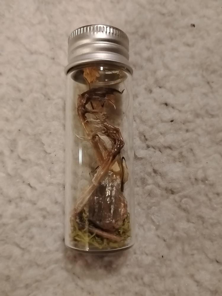 Jar With Bird Claws