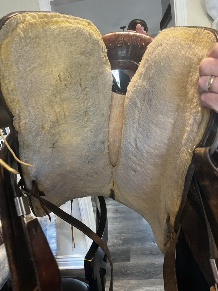 Circle Y Saddle All Around