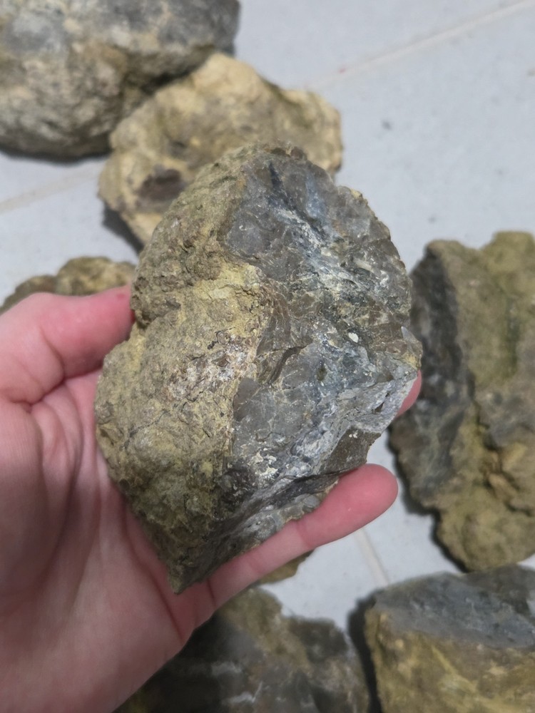 OLD RICHARDSON RANCH MOSS BED THUNDER EGG ROUGH - 8 LB