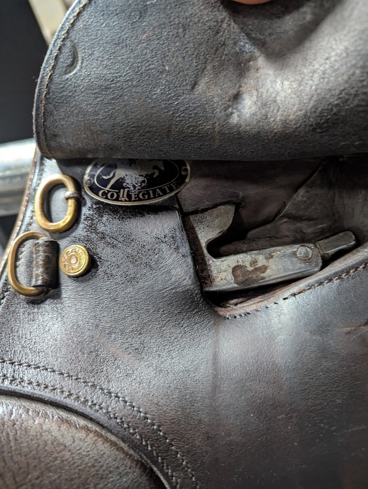 Collegiate 17" Saddle All Purpose