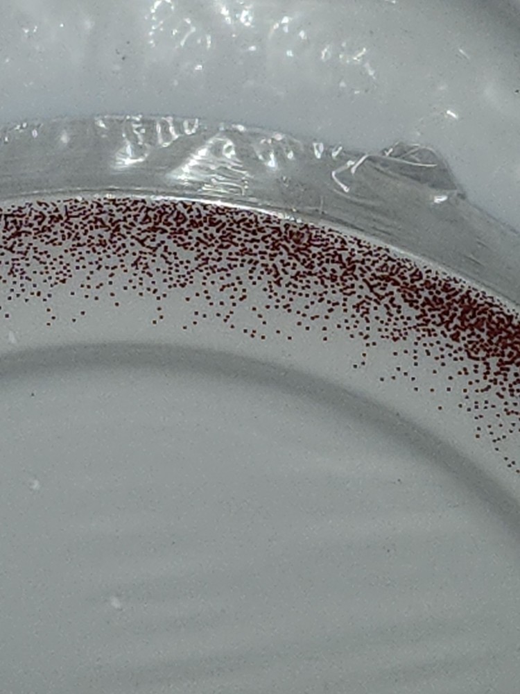 Cupcakes And Cashmere Disposable Dinnerware Set White/Red Sparkle Plastic 50 Pc