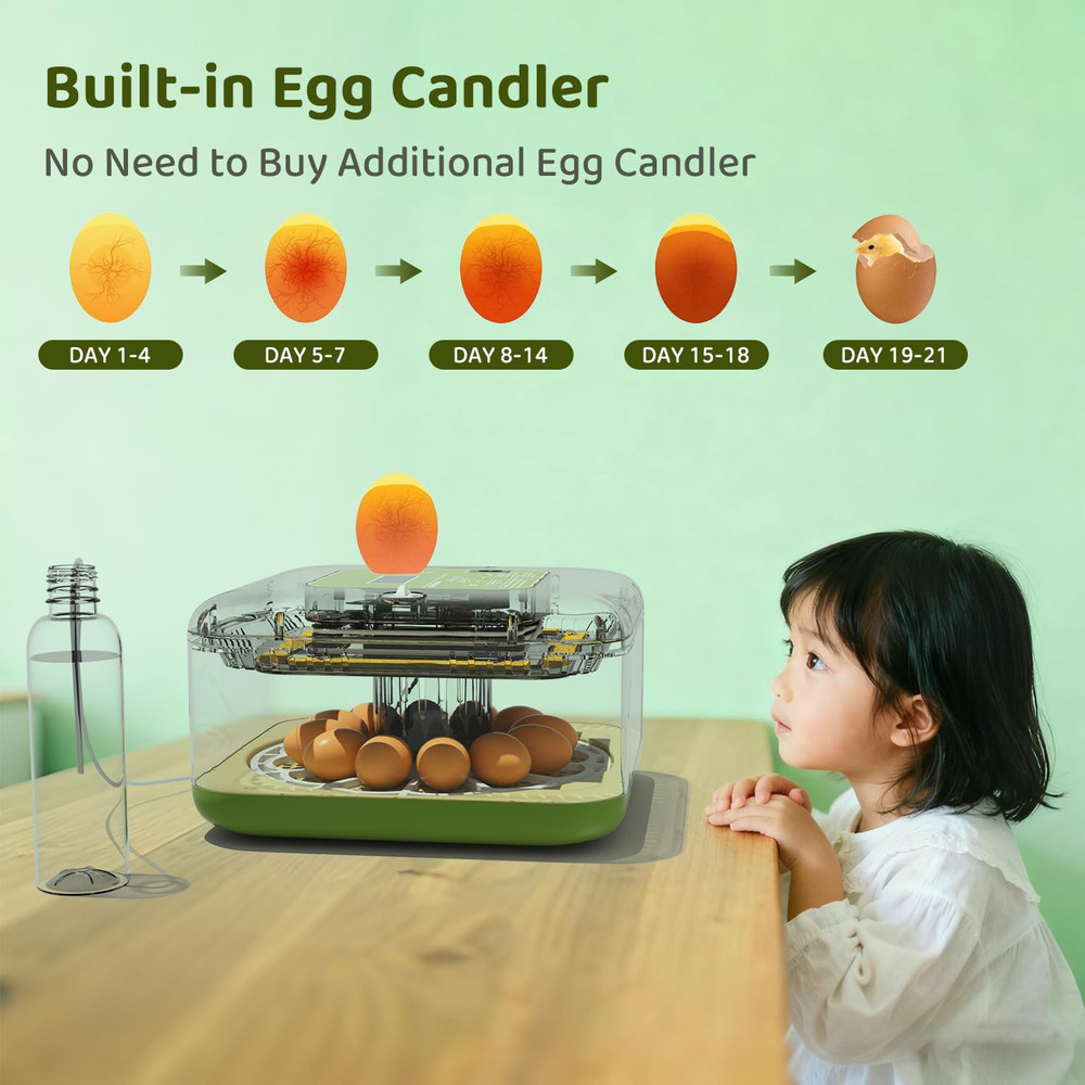 12-Egg Incubator with LED Display, Automatic Temperature and Humidity Control, a