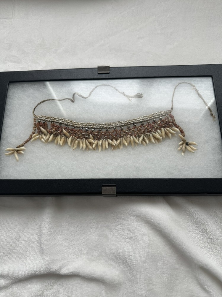 Tooth Necklace Solomon Islands