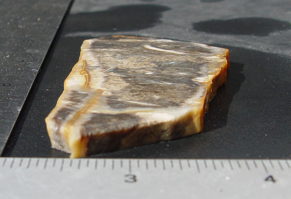 Feather Agate Lapidary Slab Indonesia T1237