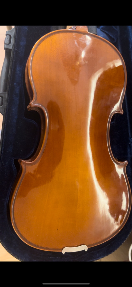 Maestro violin with two bows