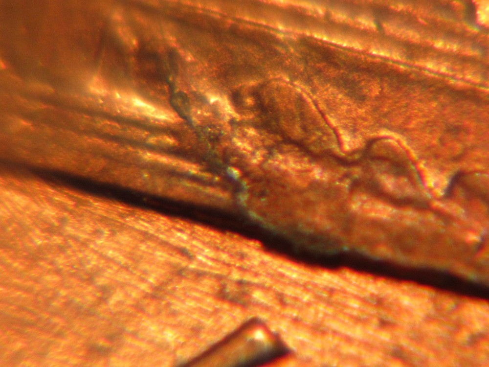 1989 P Lincoln Penny with Reverse Die Crack Error