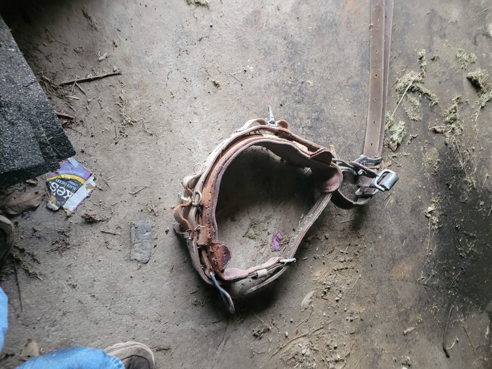 Bashlin Climbing Lineman Leather Climbing Belt ,  Size D26