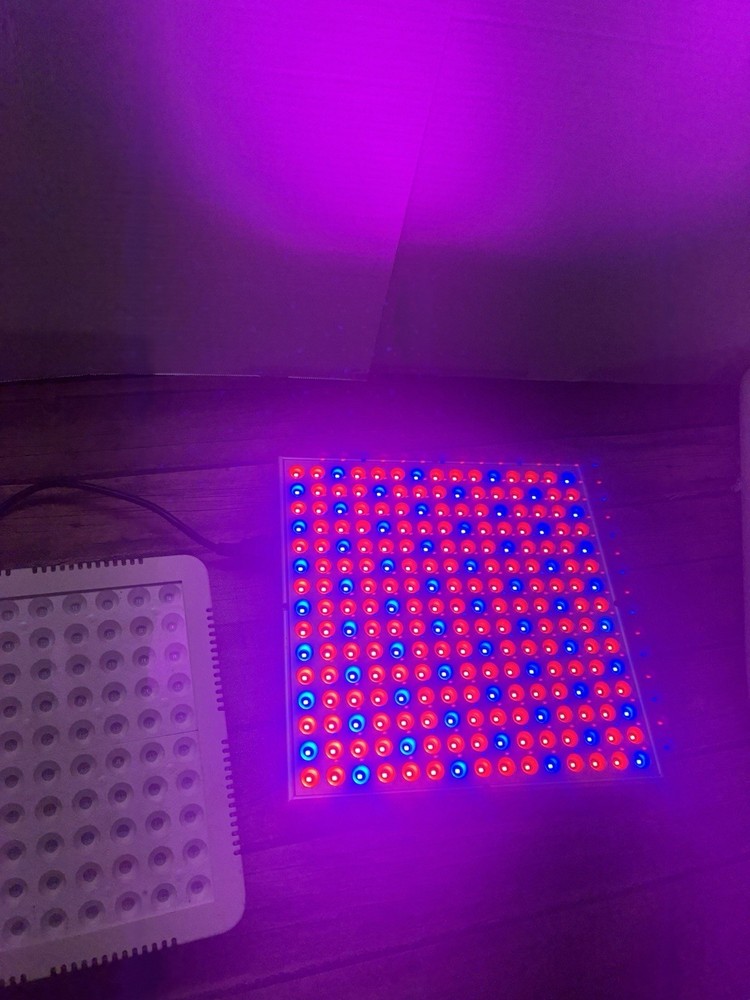 2 Light For Grow Houses