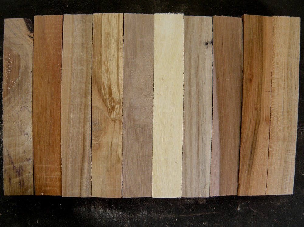 10 Different Fruit Woods Pen Blanks  Set #24