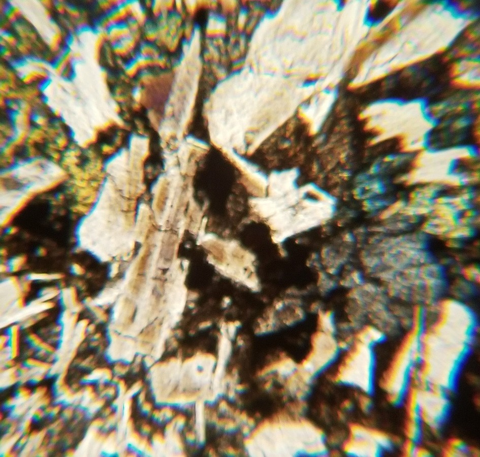 Thin-section Mount from DSDP Hole 417A Petrographic Microscope Slide 417A-94-3