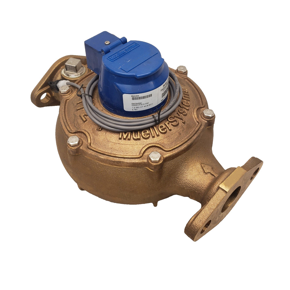 Mueller Systems WENB113C Water Meter 1-1/2" Pipe, 562, 2B, ME8 Encoder, CF, 5'CC