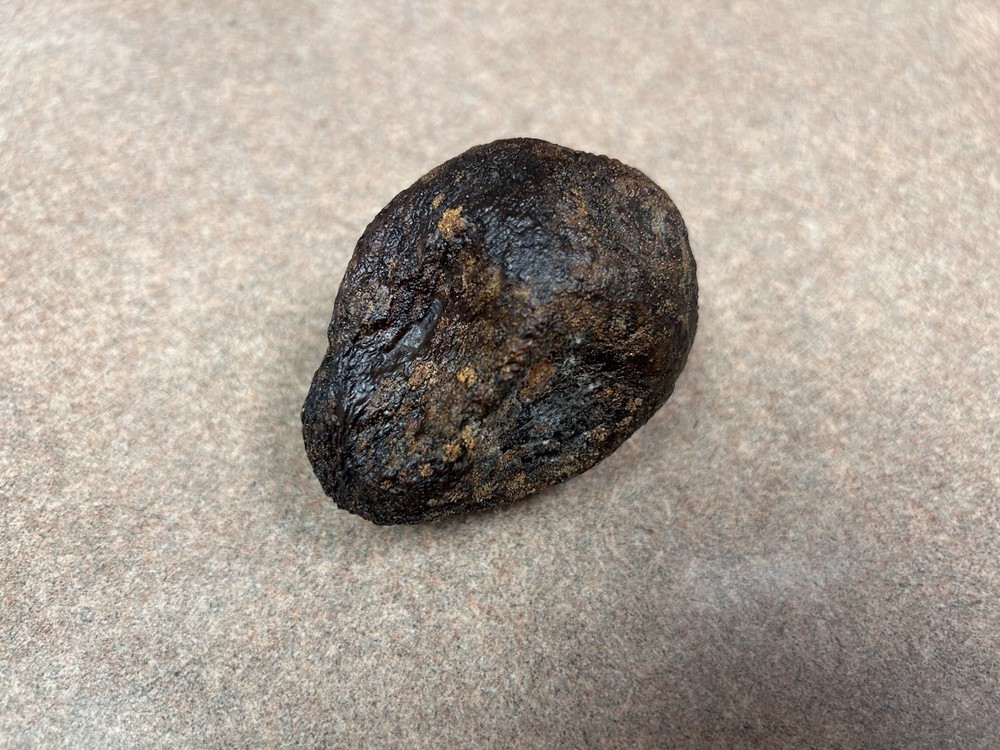 Avocado Stone