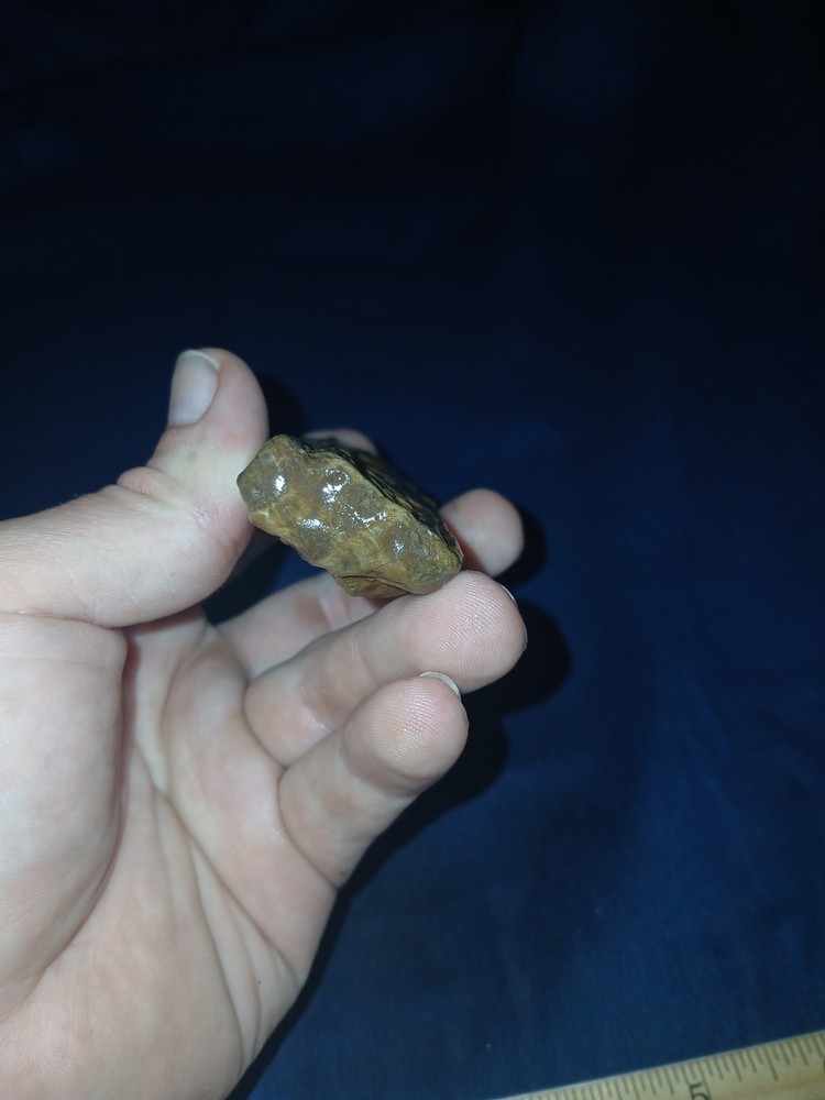 3.3 oz Texas Petrified Wood