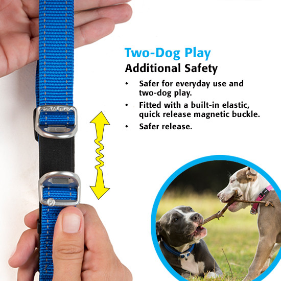 Rogz Dog Collar - Safety Stretch Release Collar - Medium / Large / Extra Large