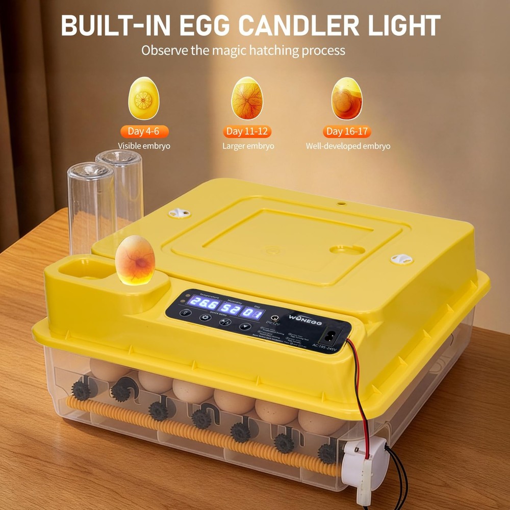 Incubators for Hatching Eggs, 30 Egg Incubator with Automatic Egg Turning, Te...