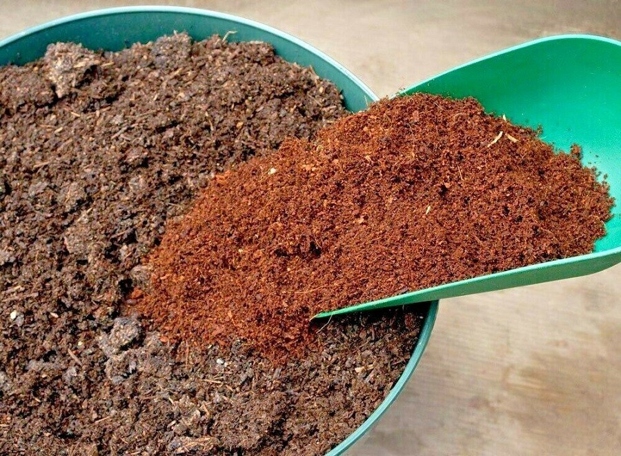 COCO COIR / COCO PEAT / 100% NATURAL ORGANIC COMPOST / HYDROPONIC GROWING MEDIA
