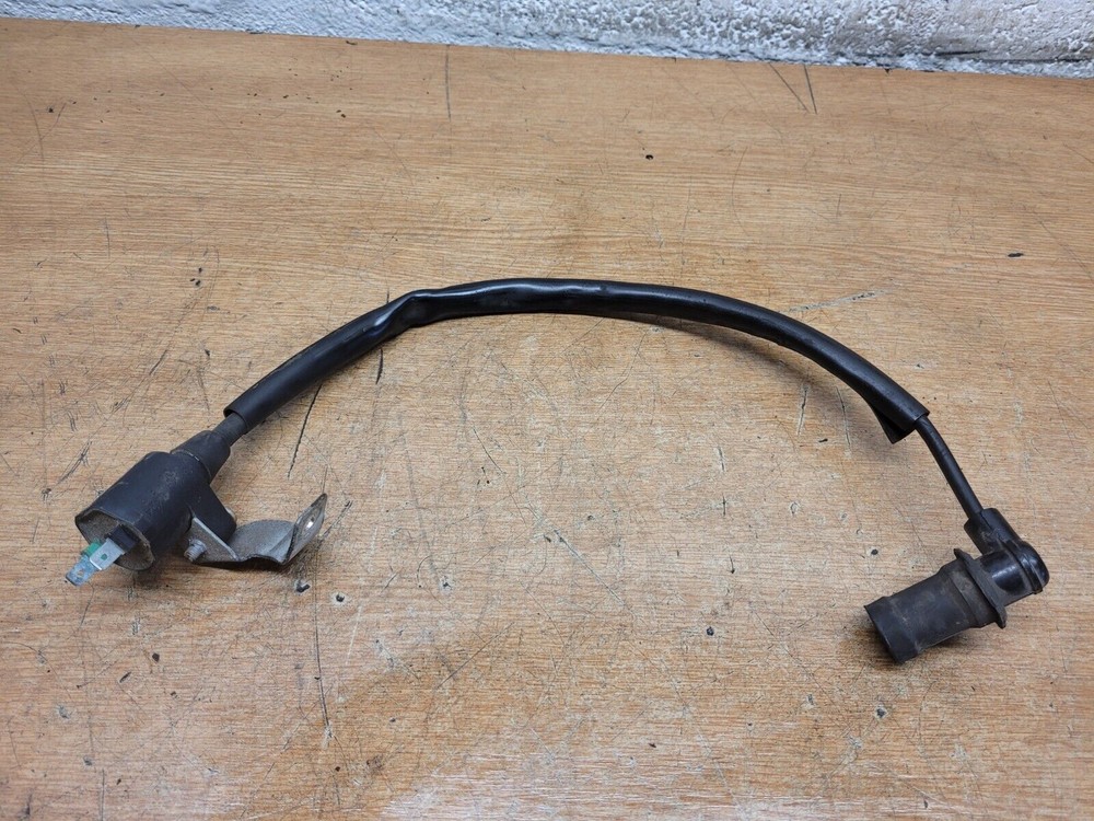 PIAGGIO FLY 125 COIL (11373)