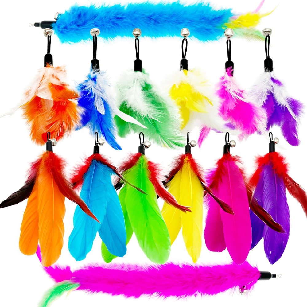 Cat Wand Replacement Feathers Assorted Colors and Sizes Keeps Cats Entertained