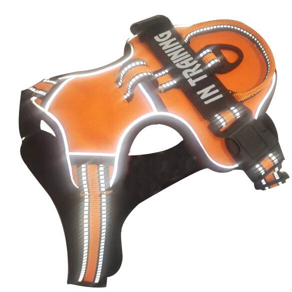 No-Pull Dog Pet Harness + Leash Reflective Control Adjustable Collar Handle