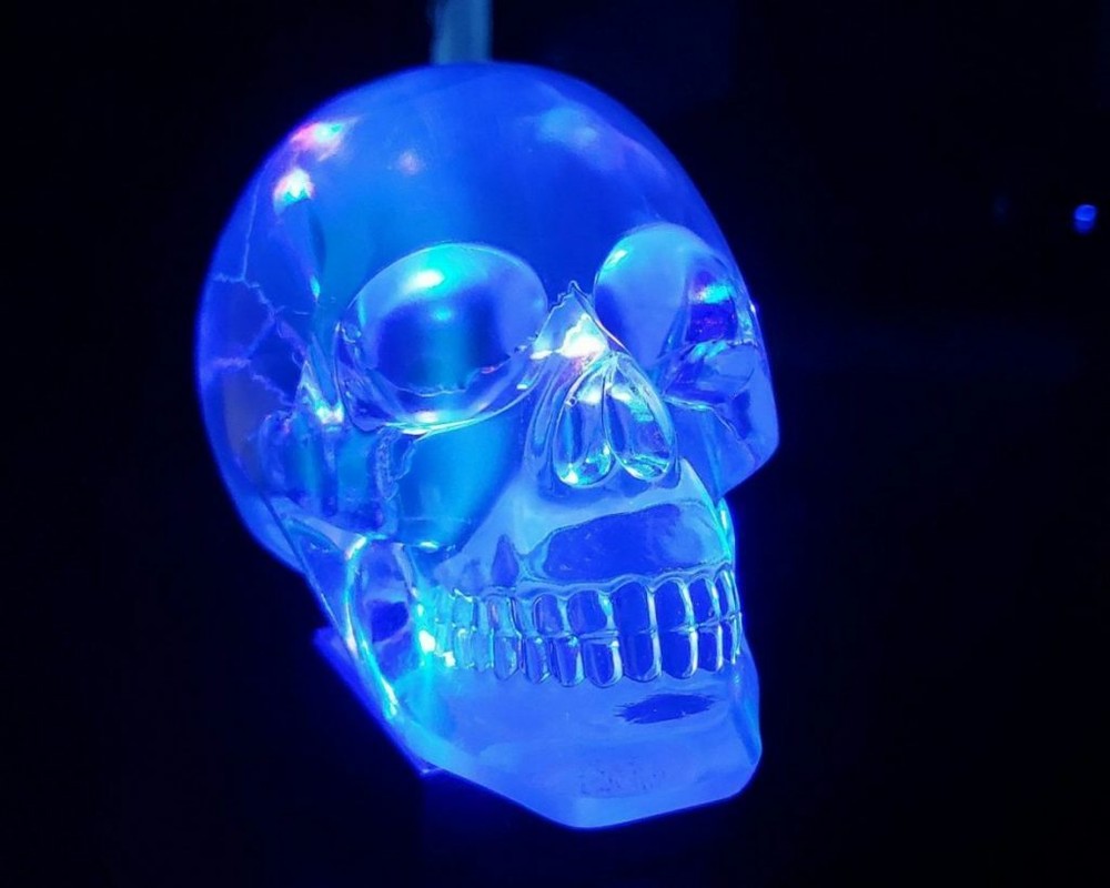 Translucent Human Clear Skull, Resin Crystal Skull, Oddities, Gothic Decor