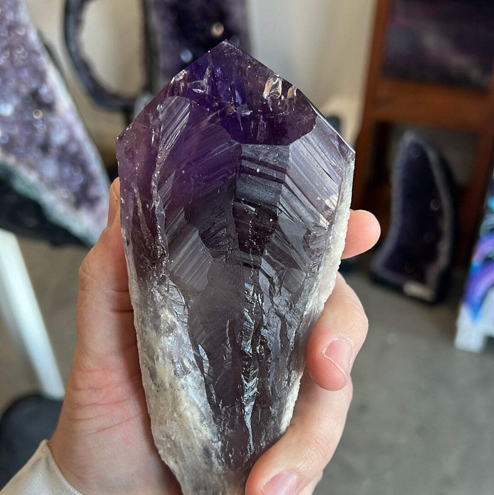 Amethyst Root Brazil