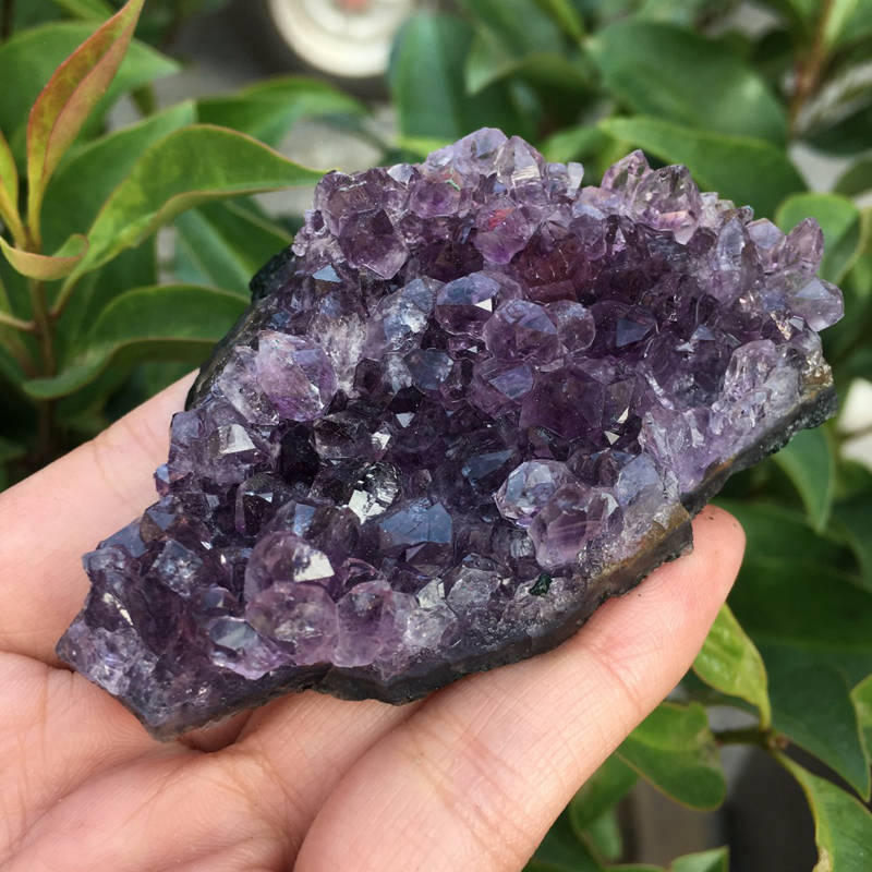 Natural Quartz Amethyst Cluster Crystal Geode Druzy Chakra Healing Ore Specimens