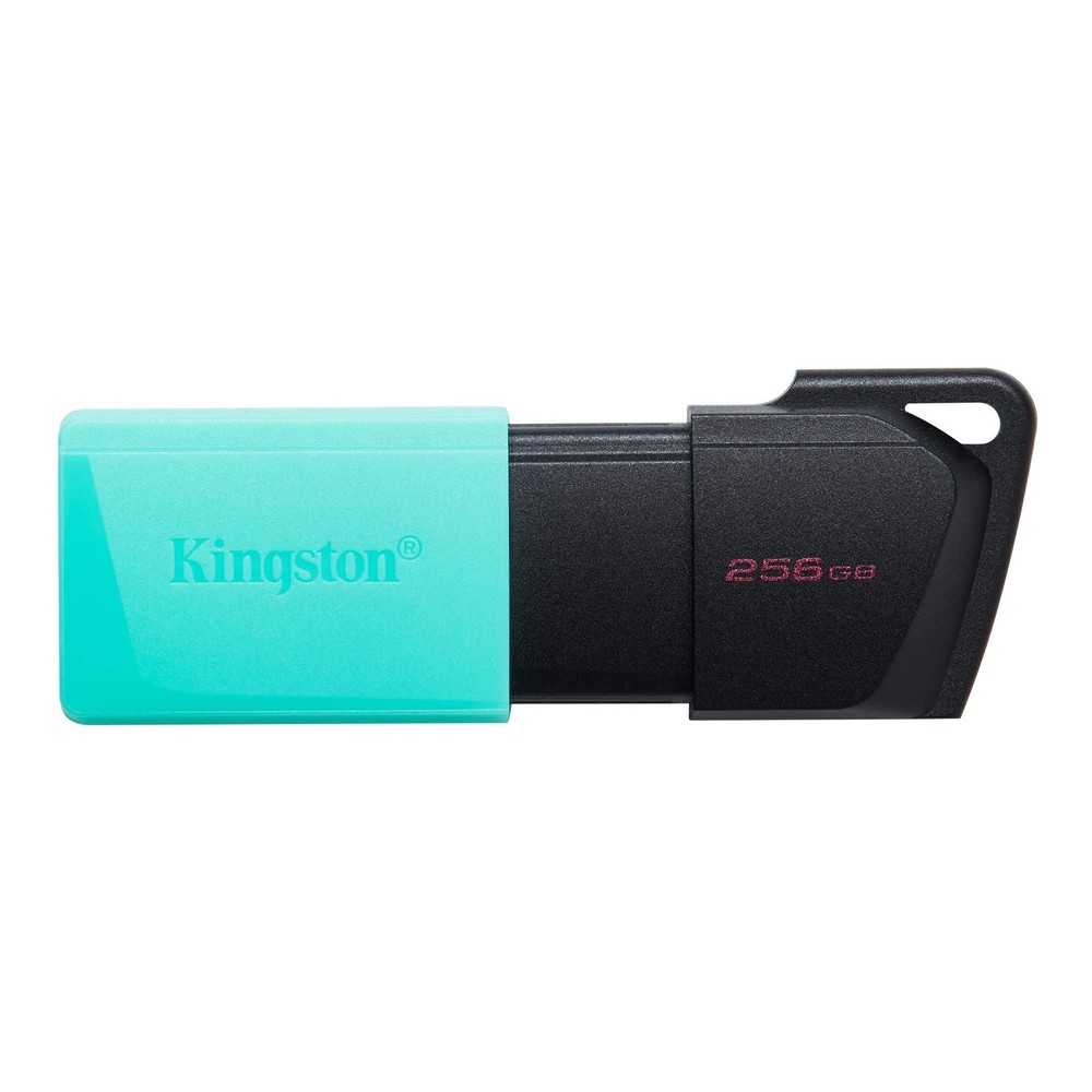 Kingston Data Traverler