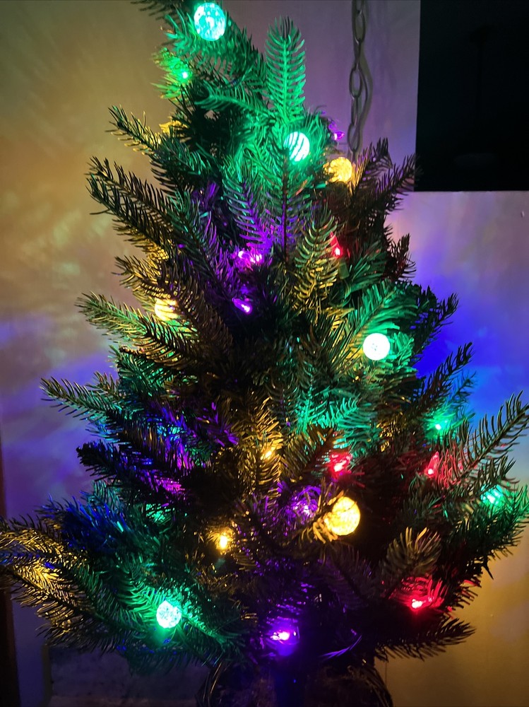 Bethlehem Lights 3' URN Mixed Bulb Christmas Tree MULTICOLOR LIGHTED