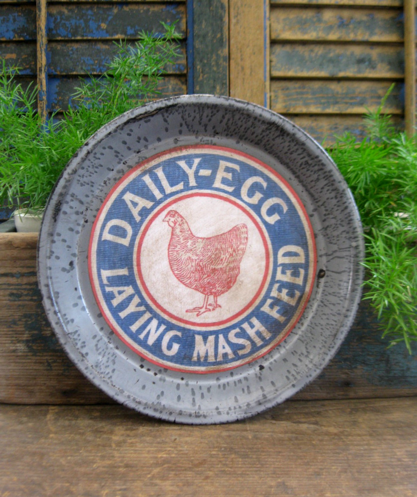 Antique Gray Graniteware Pie Pan Chicken Feed Print
